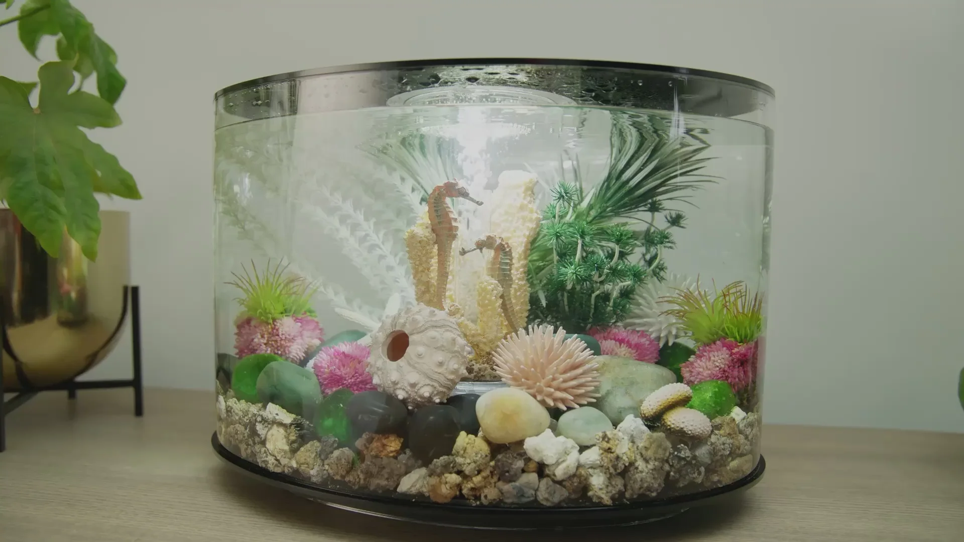 Elevate Your Home with biOrb